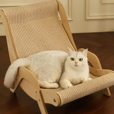 A white cat with green eyes lounges on KittyNook Cat Co.’s Cat Sisal Wooden Chair, a stylish, scratch-resistant piece.